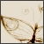 DeviantArt profile picture for @Releasing on DeviantArt