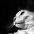 remybt :iconremybt: