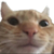 Renixii :iconrenixii: