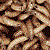 DeviantArt profile picture for @Restroom on DeviantArt