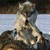 RetroWolf86 :iconretrowolf86: