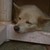 Revhial :iconrevhial: