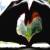 RhapsodyinAlto :iconrhapsodyinalto: