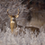 RichardSlepian :iconrichardslepian: