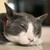 riderxriderx :iconriderxriderx: