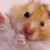 rinabyakuran :iconrinabyakuran: