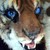 :iconriverside-est: