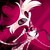 RKMADIS0N800 :iconrkmadis0n800:
