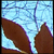 DeviantArt profile picture for @roadmap on DeviantArt