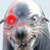 :iconrobosealplz: