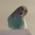RockyJazz :iconrockyjazz:
