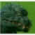 rokkmus :iconrokkmus: