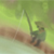 Ronin-Renka :iconronin-renka:
