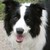 ronster2 :iconronster2: