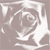 RosalynP :iconrosalynp: