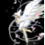 roseAsylum :iconroseasylum: