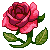 :iconrosedelivery:
