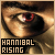 RoseDincht :iconrosedincht: