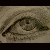 rosefantasy :iconrosefantasy: