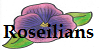 Roseilian's avatar