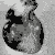 Rotlight :iconrotlight: