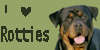 Rottweilers's avatar