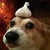 roun12 :iconroun12: