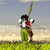 DeviantArt profile picture for @roxity on DeviantArt