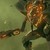 RPGX400 :iconrpgx400: