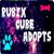 :iconrubix-cube-adopts: