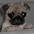 Ruebenkopf :iconruebenkopf: