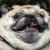 Runnerplain :iconrunnerplain: