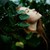 RunRightBack :iconrunrightback: