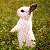 RussianRabbit :iconrussianrabbit: