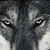 RustEdThoughts :iconrustedthoughts: