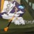 Ryan7251 :iconryan7251: