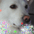 rythmickarma :iconrythmickarma: