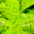 s-h-z :icons-h-z: