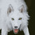 s-pray :icons-pray: