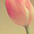 Sabiiz :iconsabiiz: