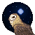 Sacredfire200 :iconsacredfire200: