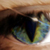 DeviantArt profile picture for @Sadil on DeviantArt