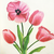saffron75 :iconsaffron75: