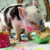 SaffyOtter :iconsaffyotter: