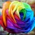 Sagittarius79 :iconsagittarius79: