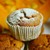 SaintPumpkinMuffin :iconsaintpumpkinmuffin: