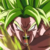 Saiyanstrong :iconsaiyanstrong: