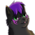 SakatzuCat :iconsakatzucat:
