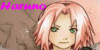 Sakura-Haruno-lovers's avatar