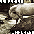 :iconsaleshira-dracheen: